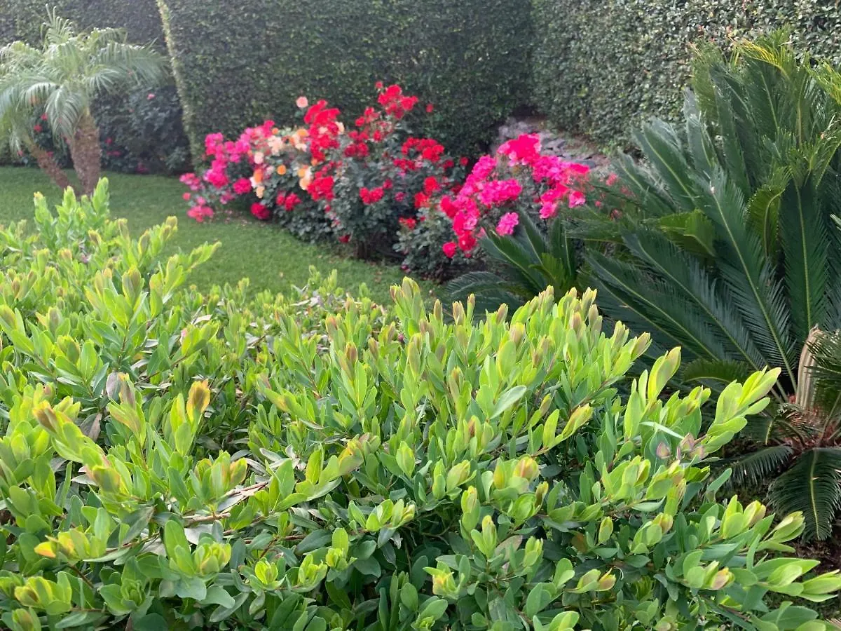 Bed & Breakfast Feudogrande Bio Relais Hotel Fiumefreddo di Sicilia